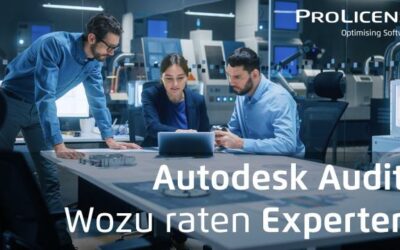 Autodesk Audit – Wozu raten Experten?
